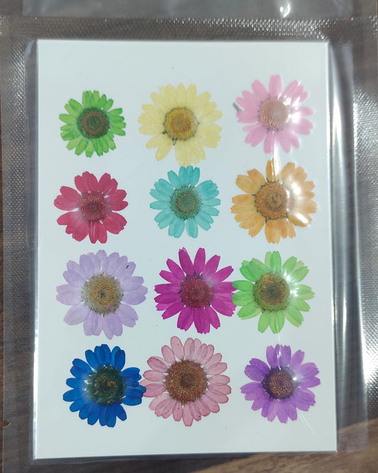 Pressed Flower _34