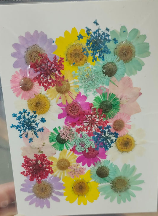 Pressed Flower _39