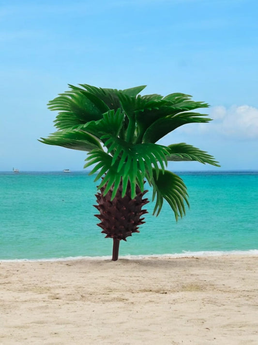Palm Coconut tree big