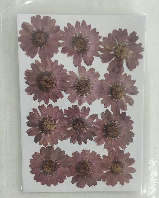 Pressed Flower _45
