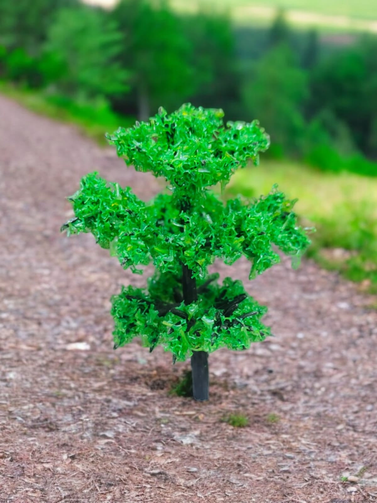 Tree_71