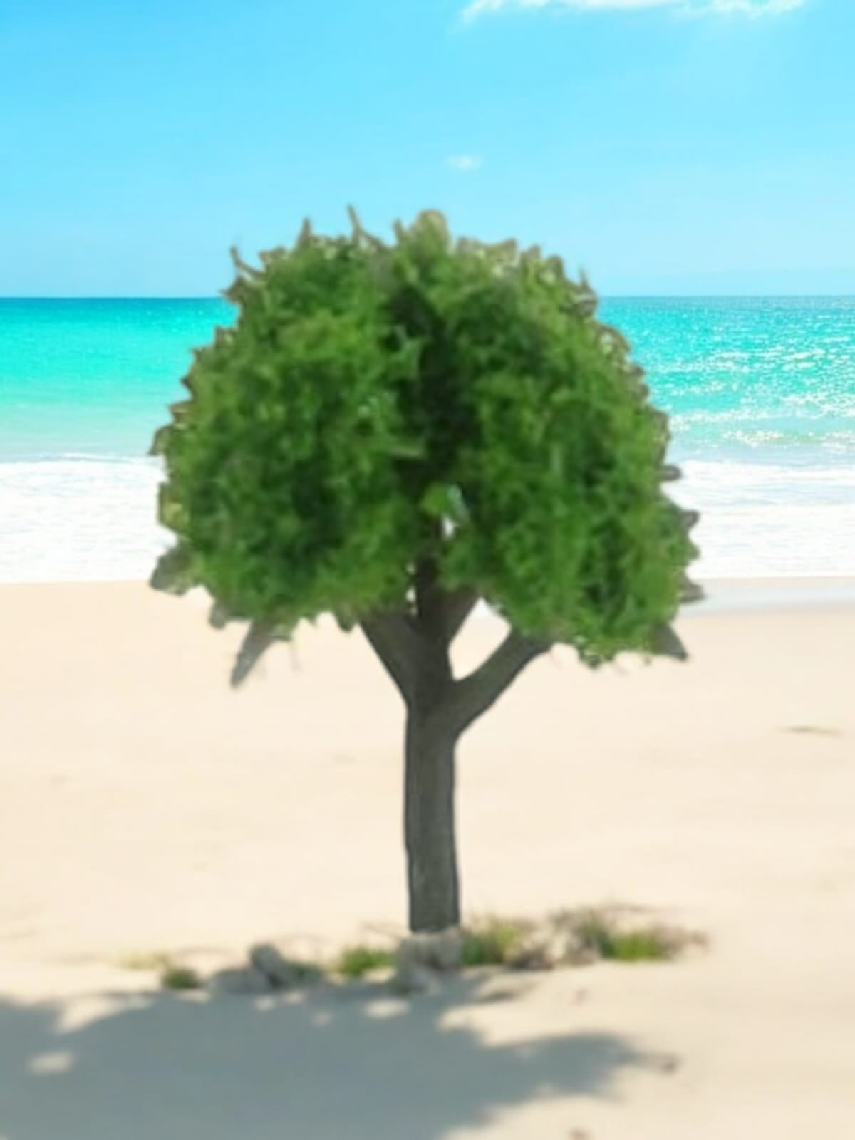 Tree_85