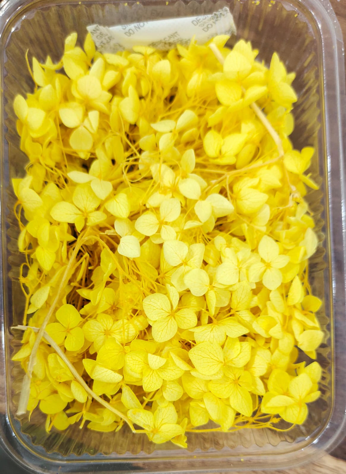 Hydra Yellow Dry Flower Box