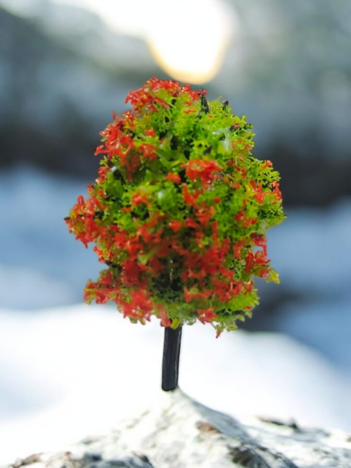 Small Tree Red