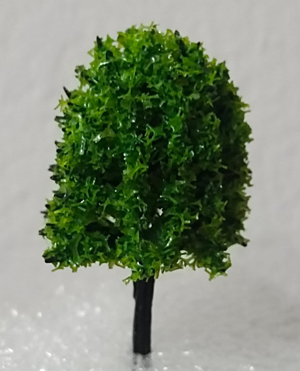 Tree_95