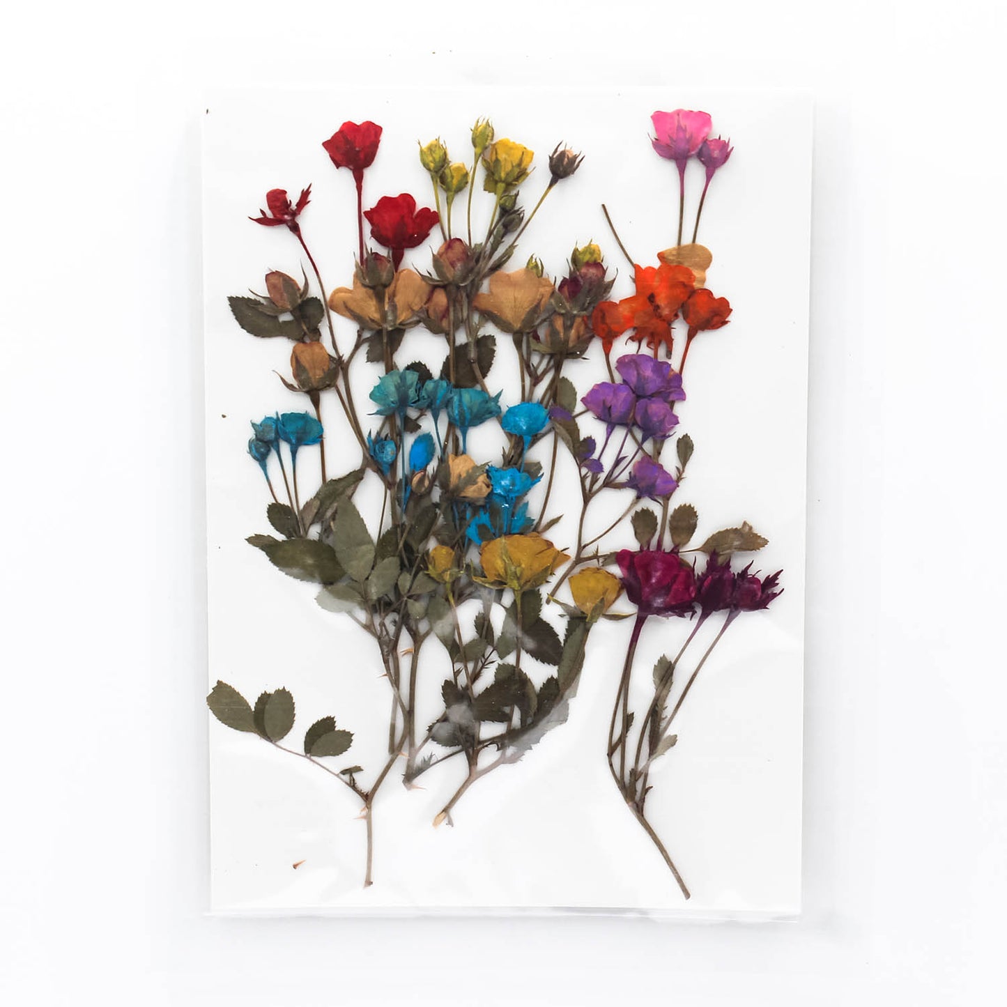 Mini Pressed Roses_02