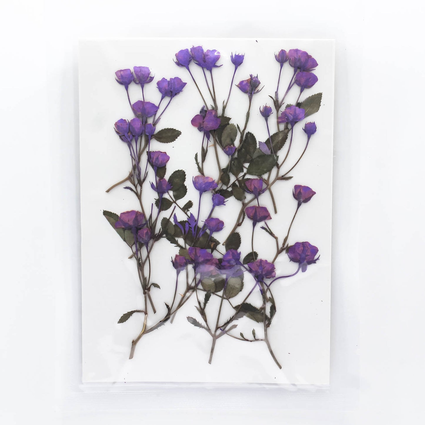 Mini Pressed Roses_04