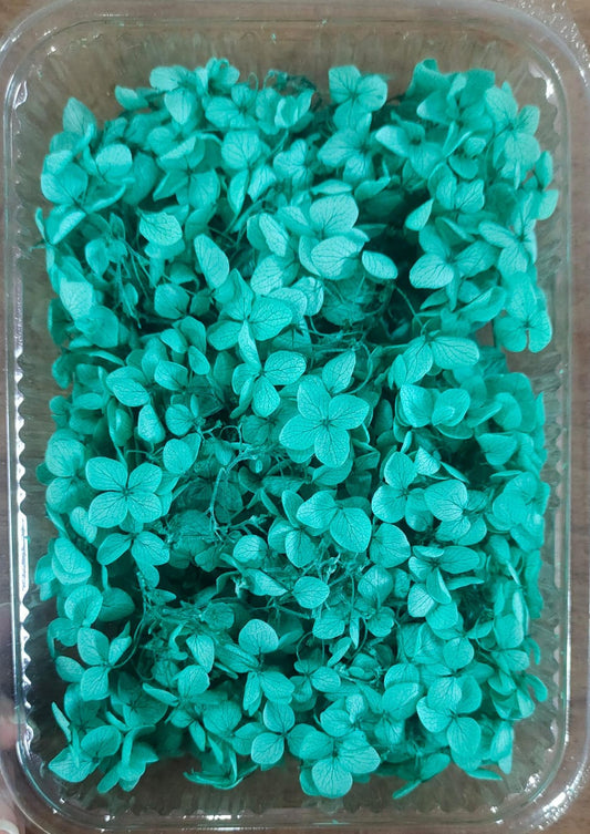 Hydra Light Green Dry Flower Box