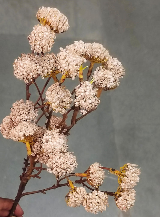 Artificial Flower Bunch_14