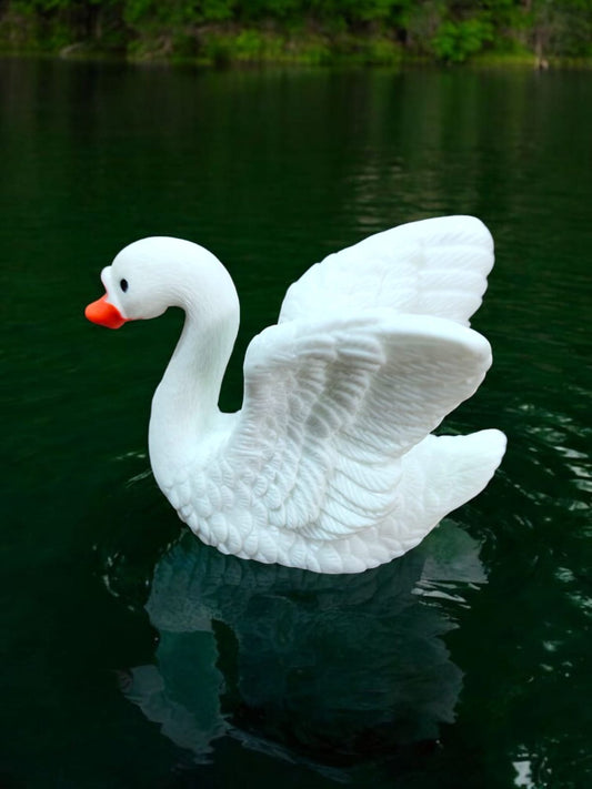 Swan_02