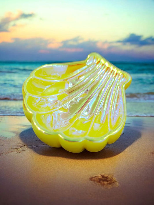 Colorful Shell