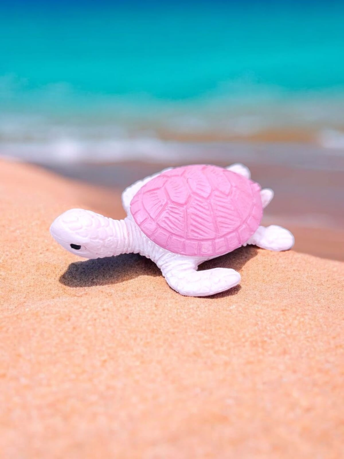 Mini Turtle