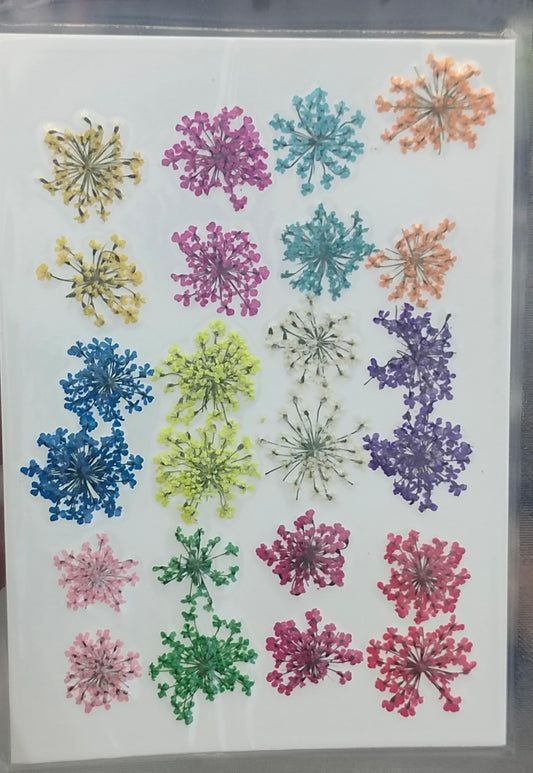 Pressed Flower _49