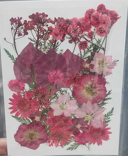 Pressed Flower _50