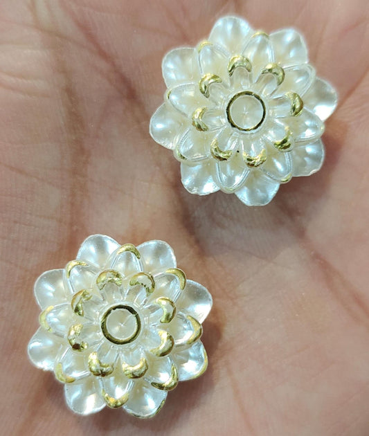 White pearl Flower