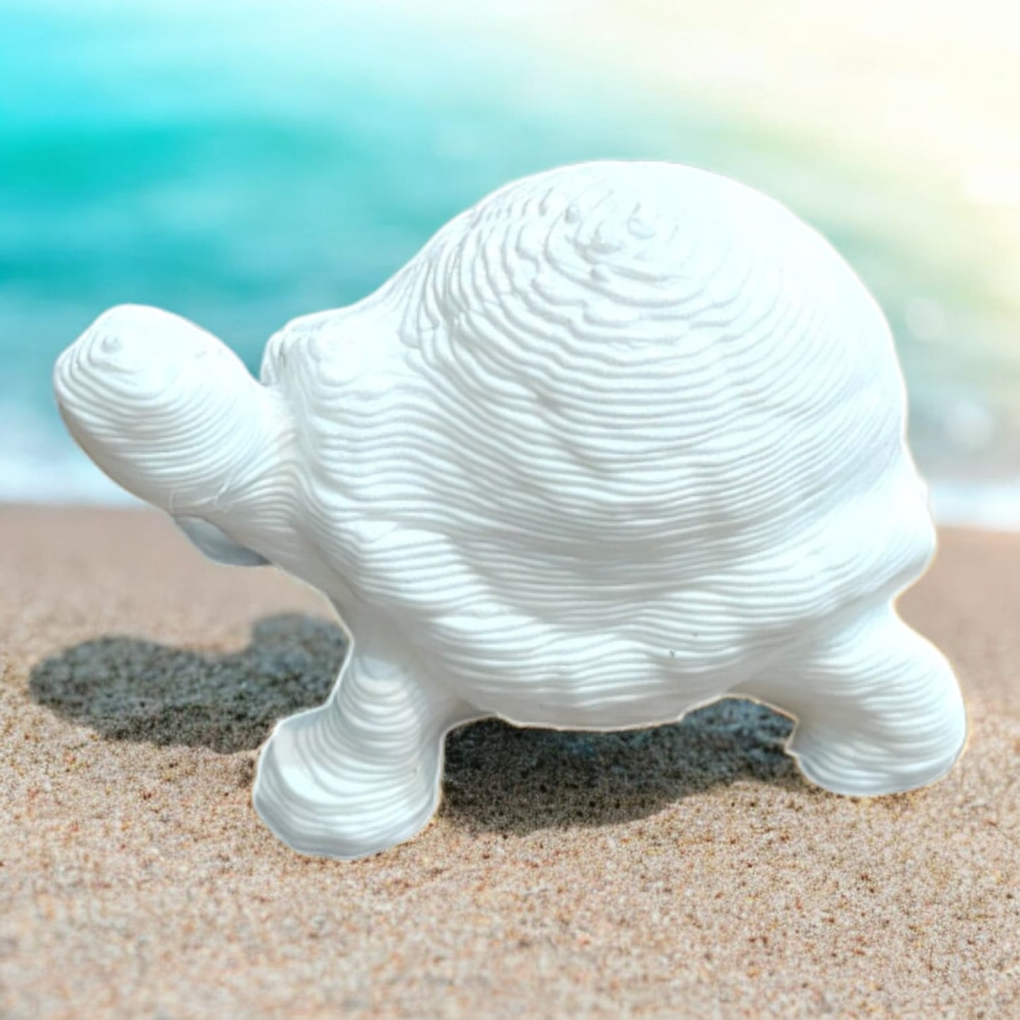 Tortoise
