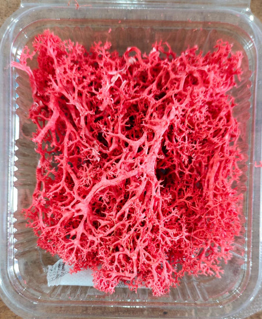 Moss Grass Red