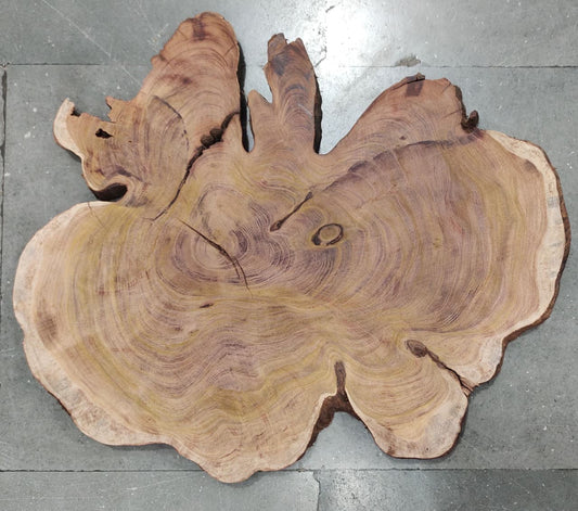 Centre wood Cookie_01