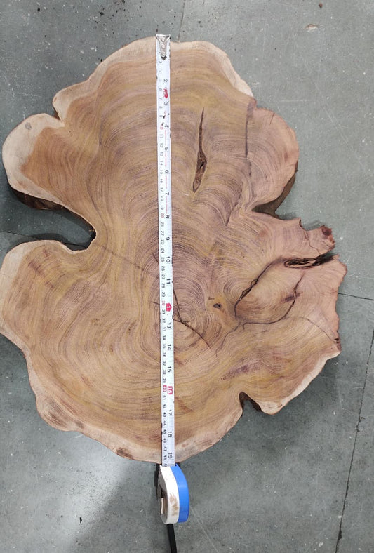 Centre wood Cookie_03