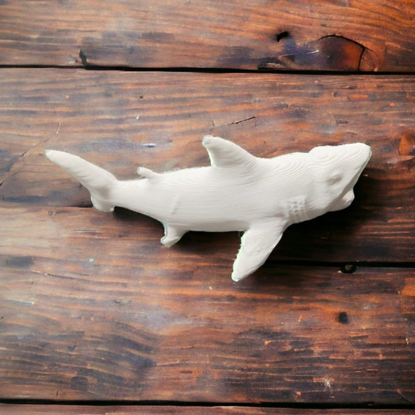 Shark with open Mouth