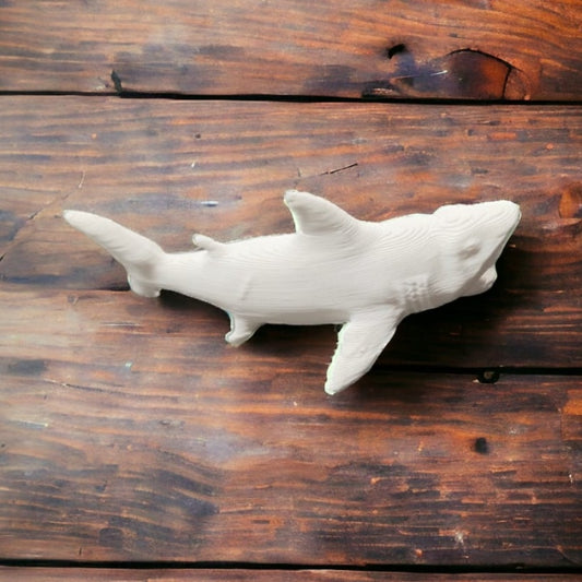 Shark with open Mouth