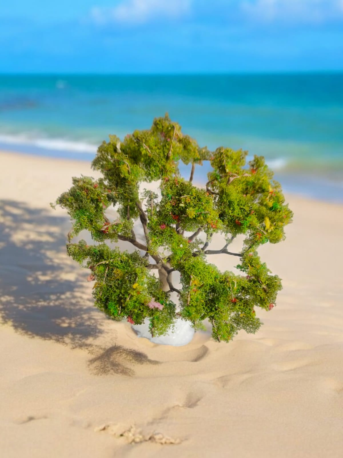 Big Tree_01