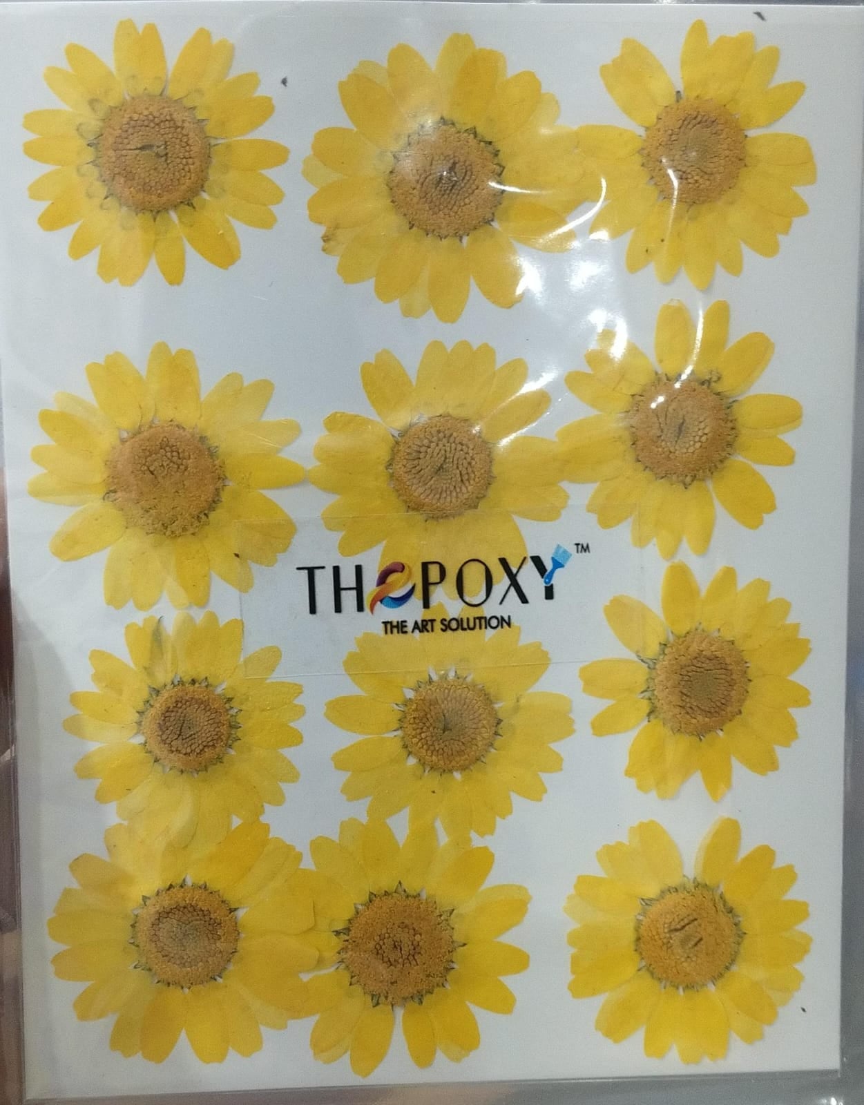 Pressed Flower _20(Dark yellow)