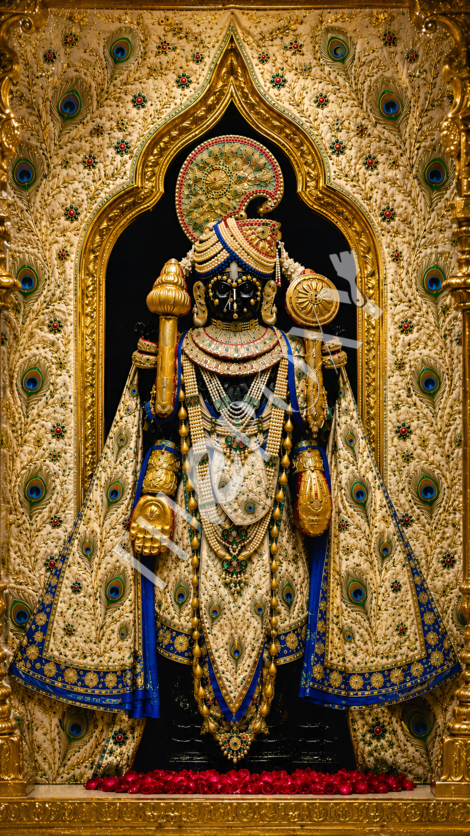 Dwarkadhish Digital Print _ DD-1