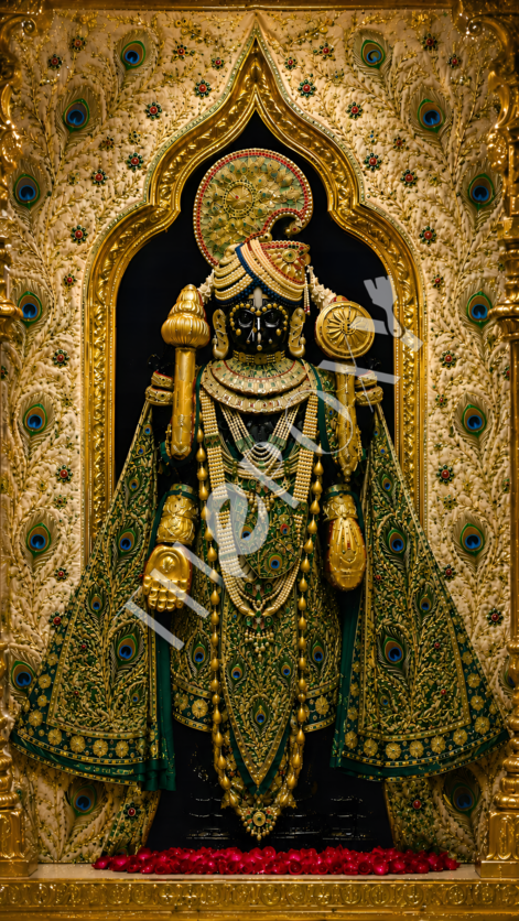 Dwarkadhish Digital Print _ DD-2
