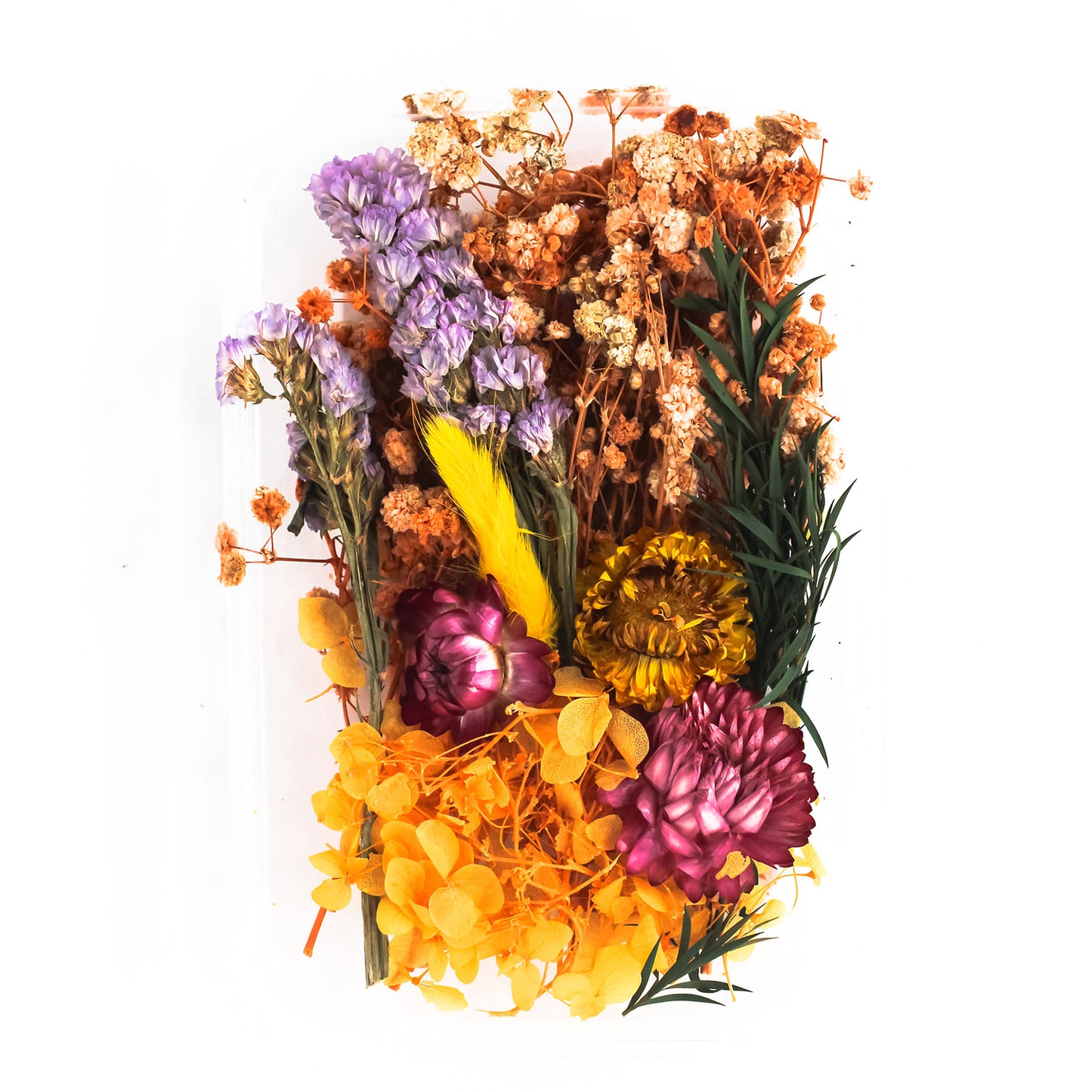 Dry Flower Box_19
