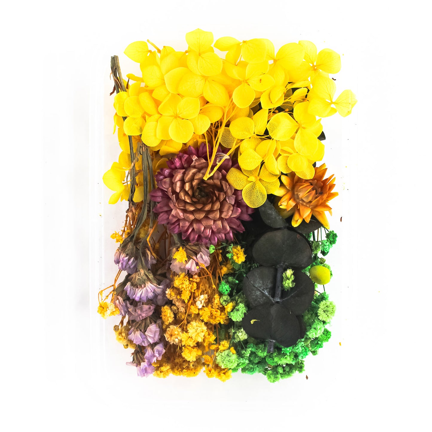 Dry Flower Box_29