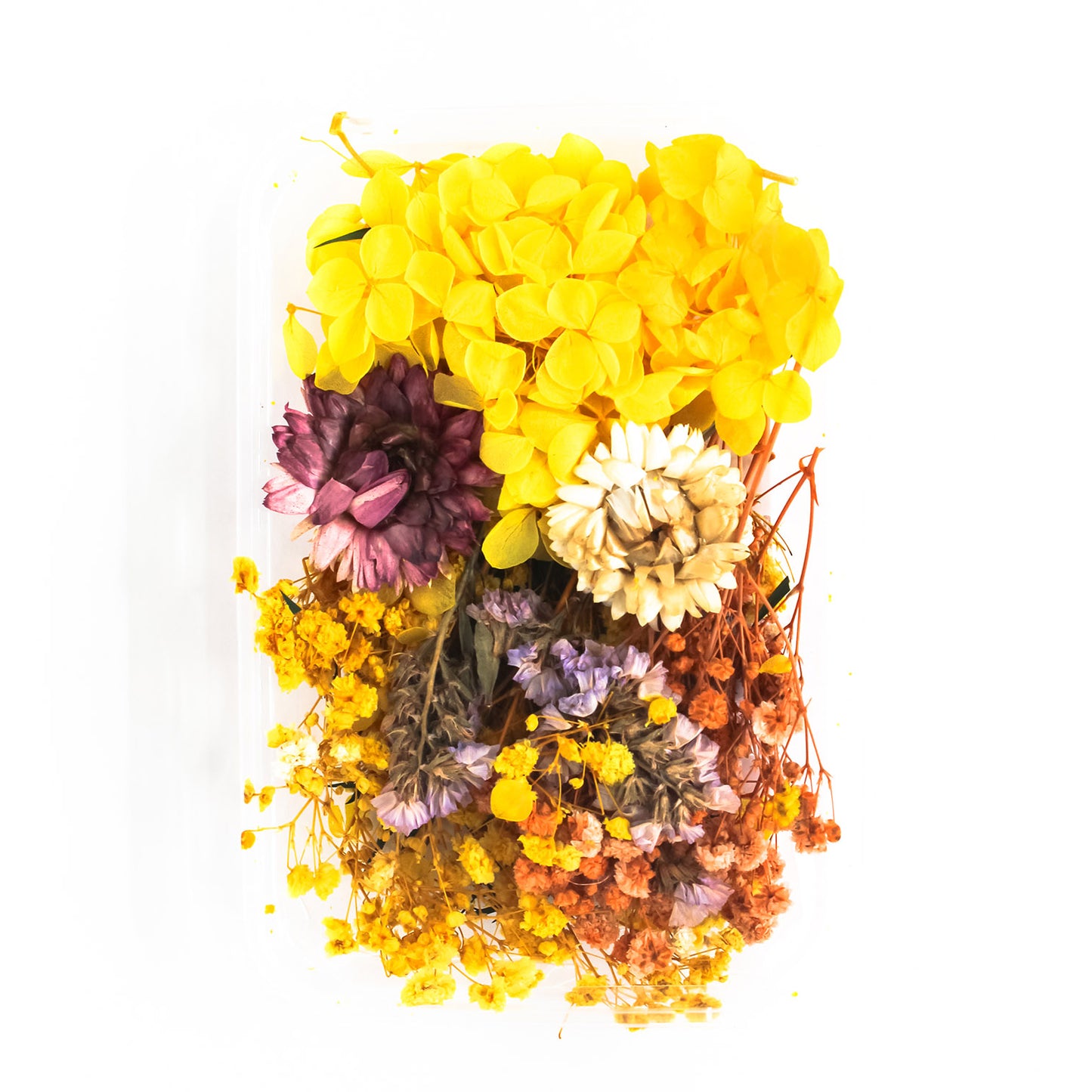Dry Flower Box_32