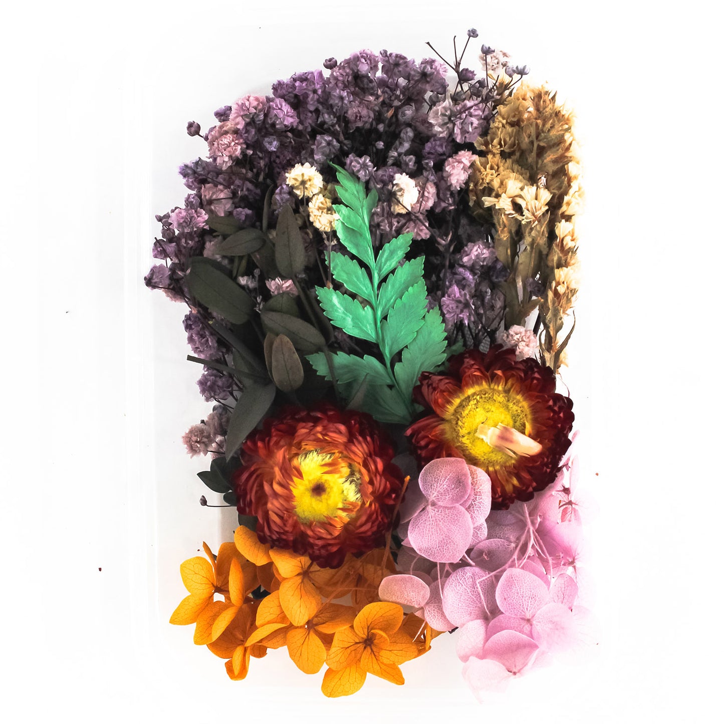 Dry Flower Box_18