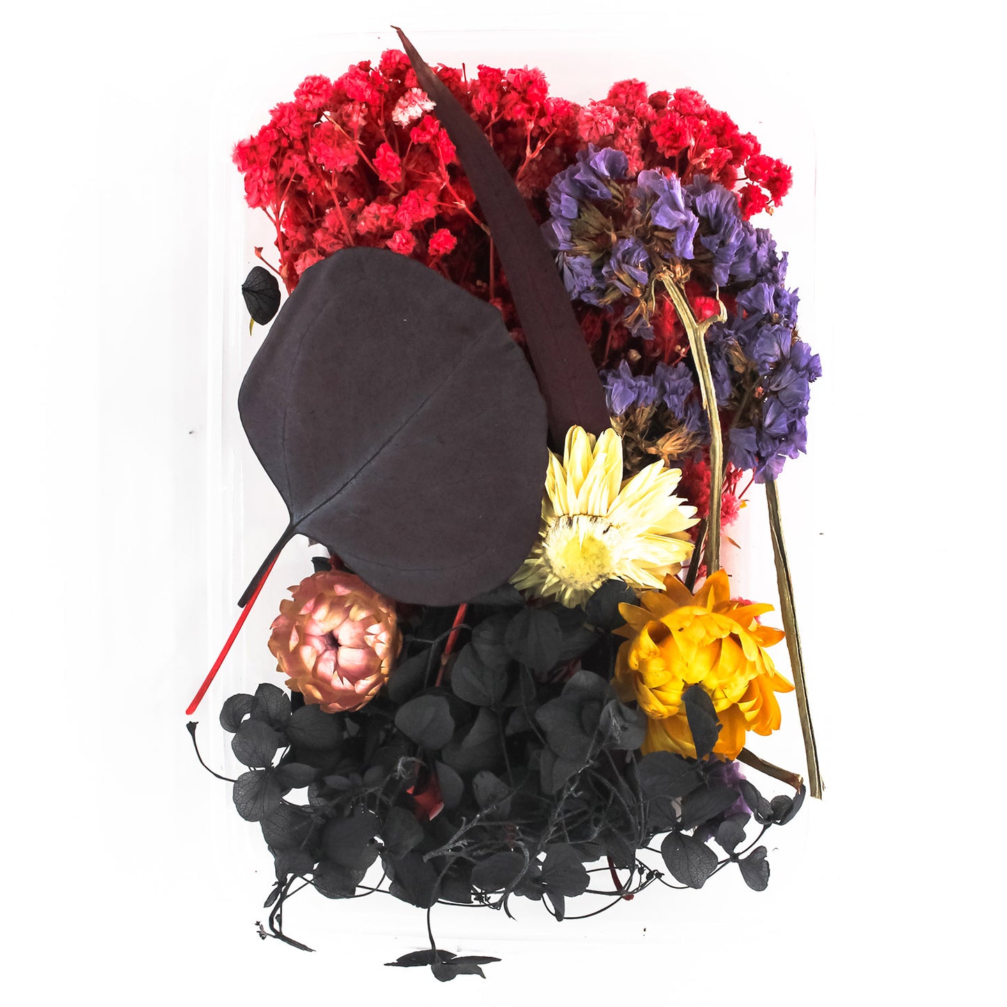 Dry Flower Box_23