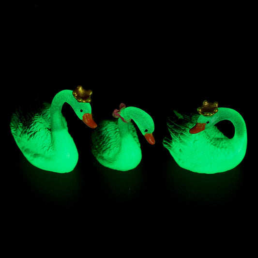 Glowing Swan (King-Queen)