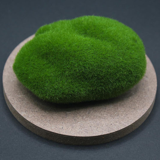 Moss Ball