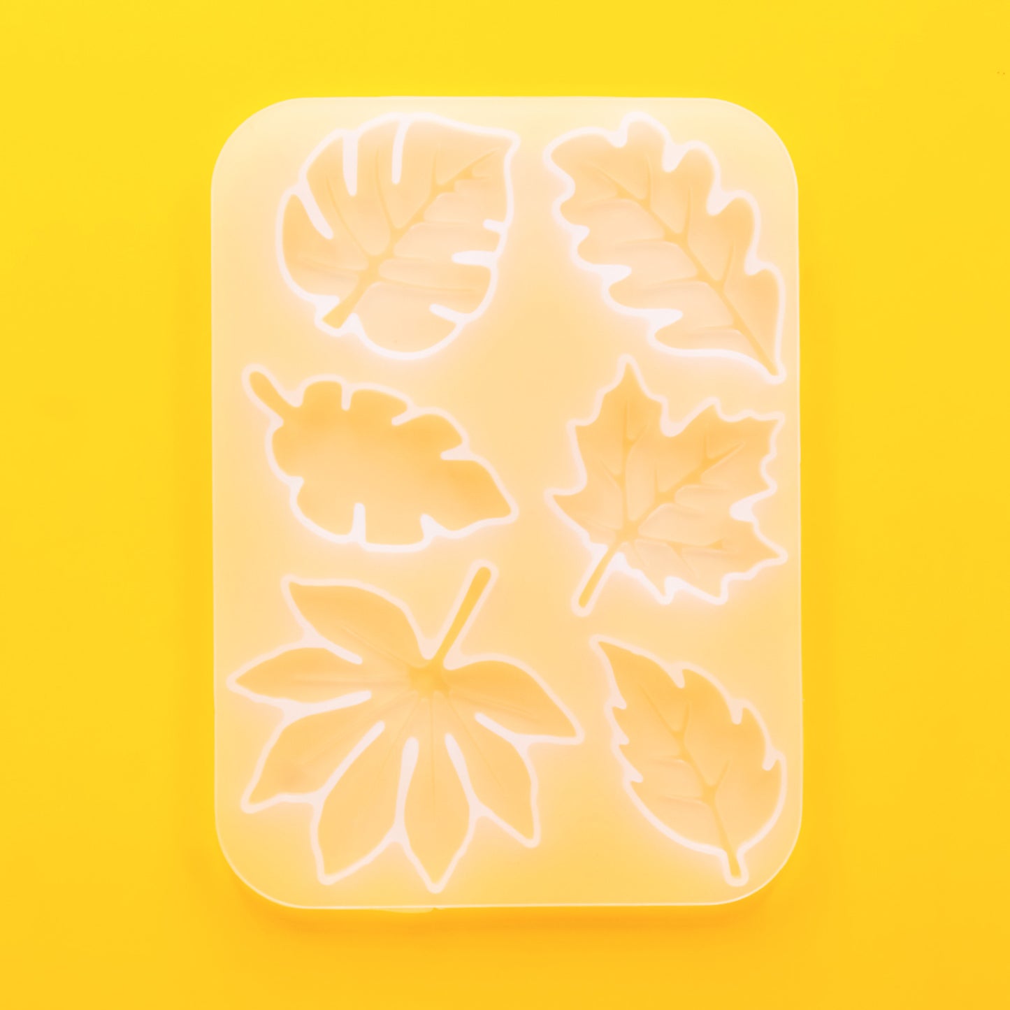 Leaf Mould - 02