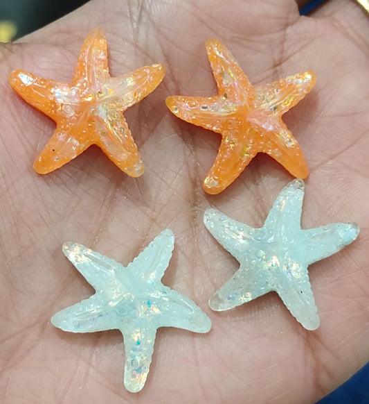 Pointed Star Fish Small