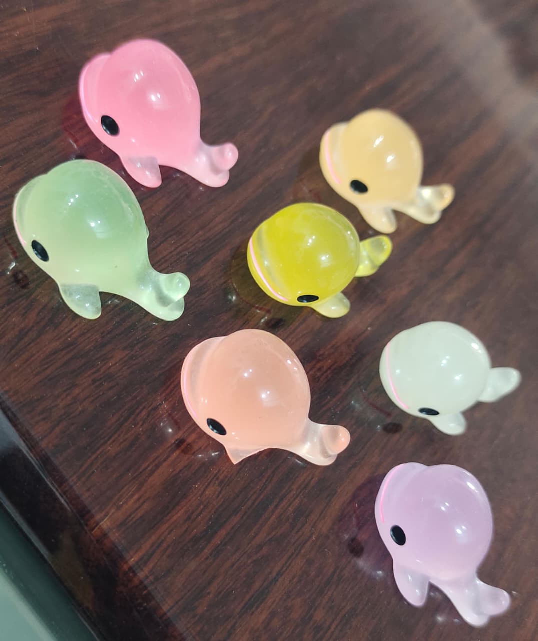 Multi Color Dolphin Set