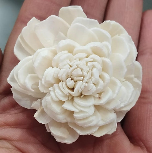 Bailey Solawood- Small