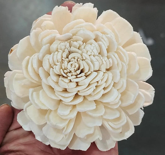 Bailey Solawood- Large