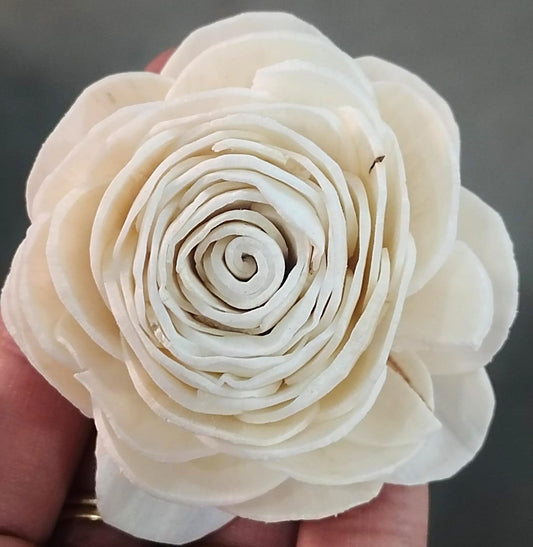 Rose Solawood-Medium