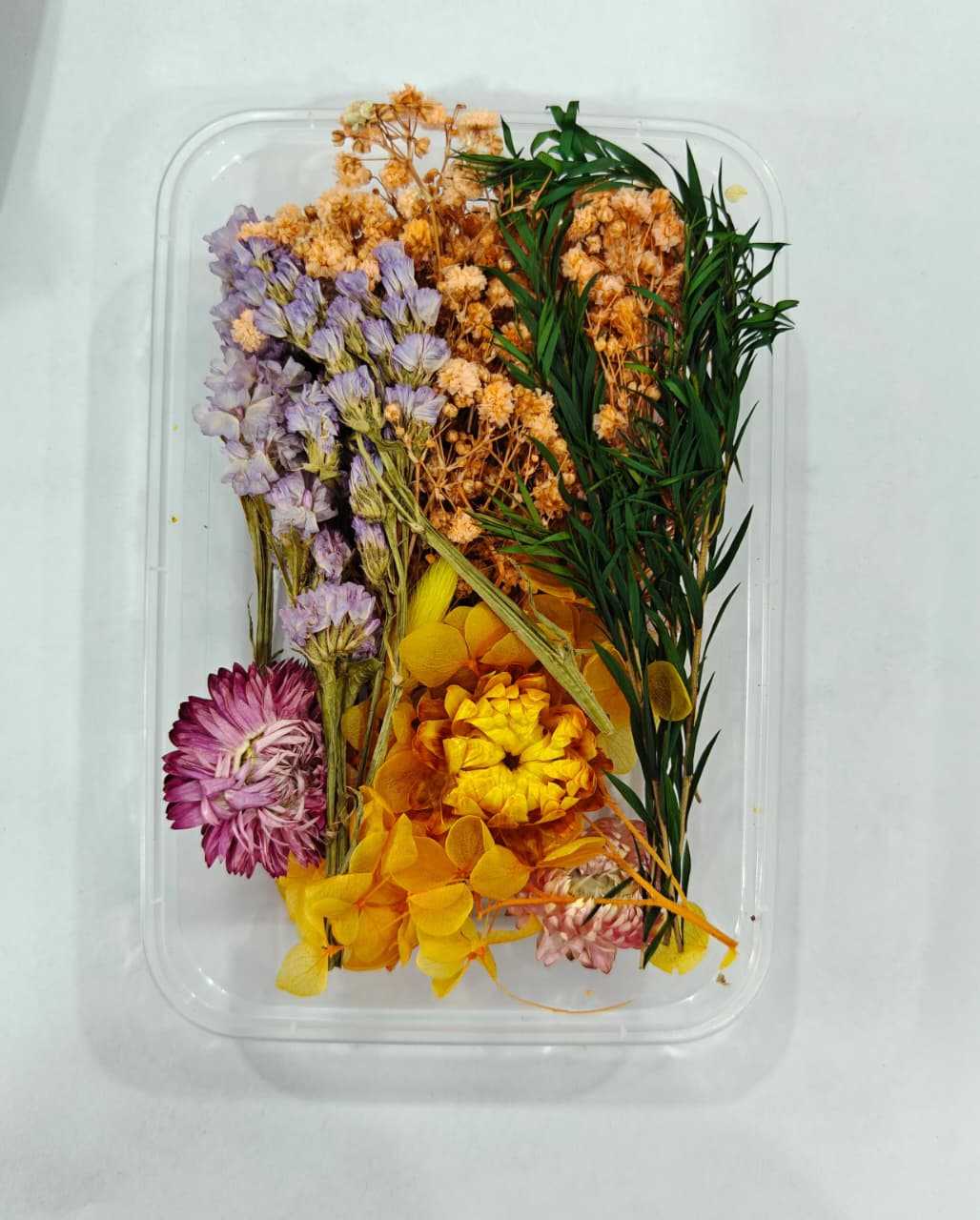 Dry Flower Box_12