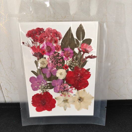 Pressed Flower _03