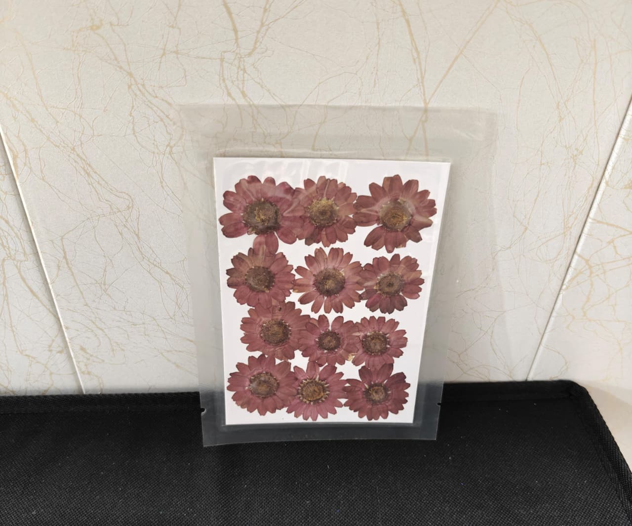Pressed Flower _45