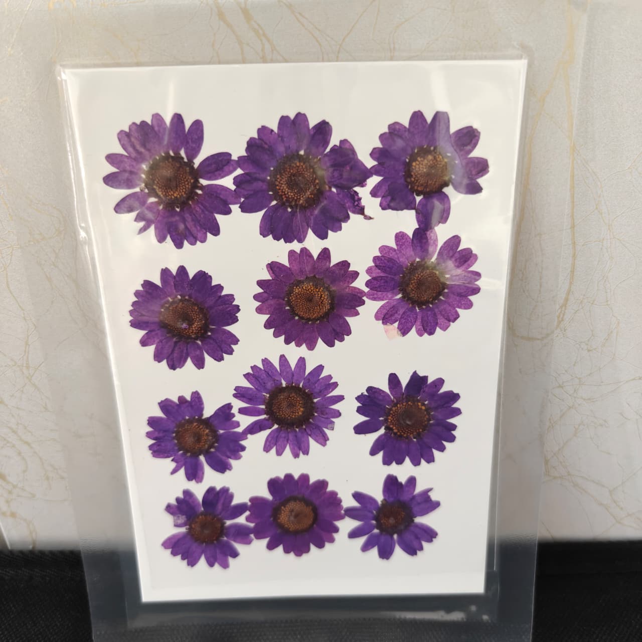 Pressed Flower _33