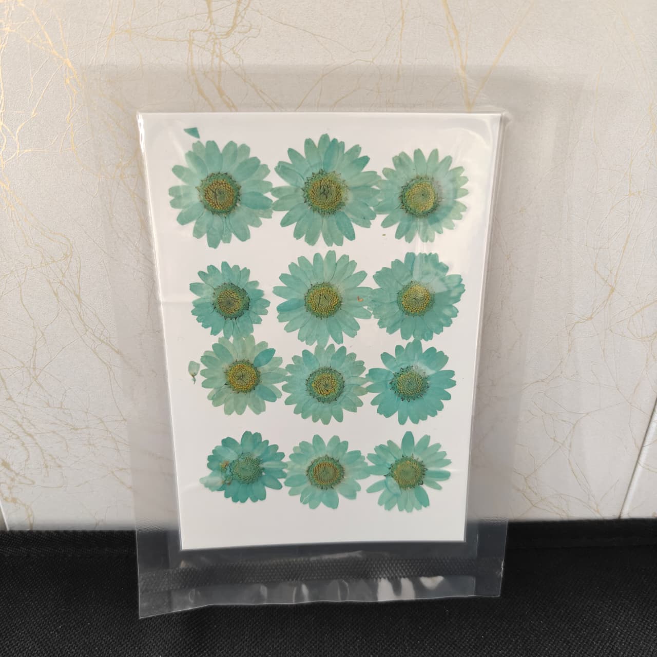 Pressed Flower _54