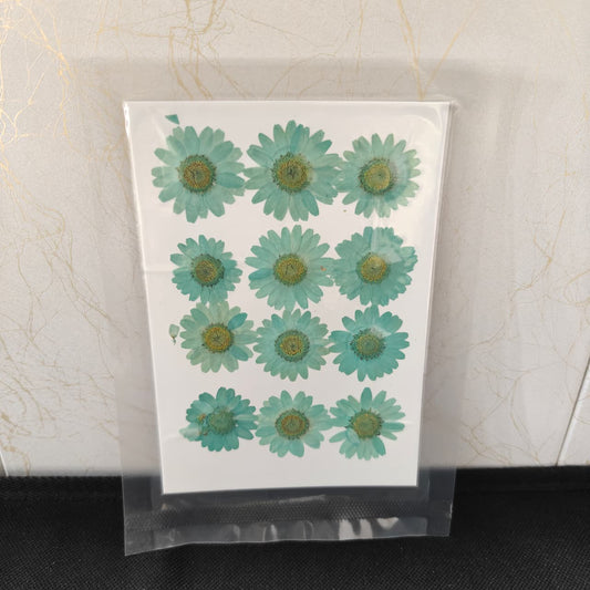 Pressed Flower _54