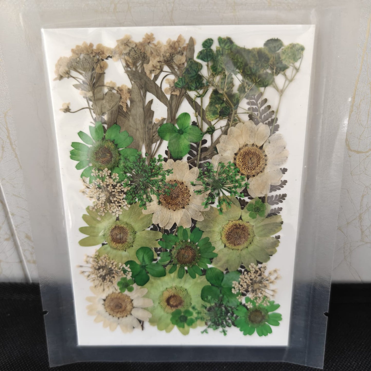 Pressed Flower _02