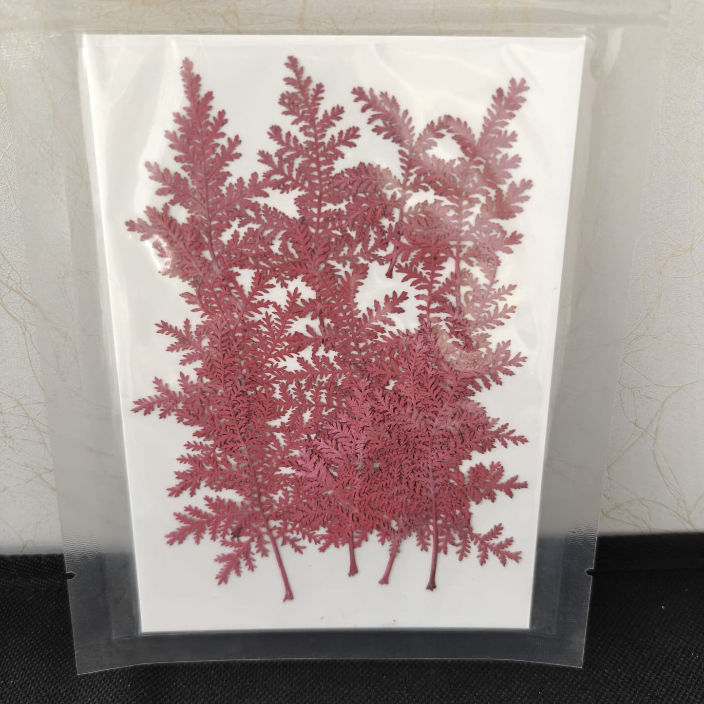 Pressed Flower _22
